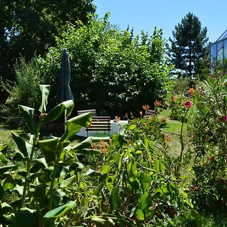 Glashaus Andres Fuenf-sterne-ferienhaus *