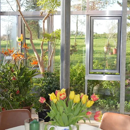 Glashaus Andres Fuenf-sterne-ferienhaus Willa Pettstädt