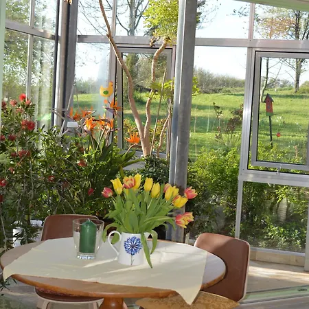 Glashaus Andres Fuenf-sterne-ferienhaus *