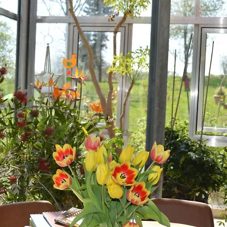 Willa Glashaus Andres Fuenf-sterne-ferienhaus Pettstädt
