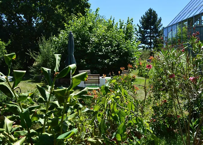 Glashaus Andres Fuenf-sterne-ferienhaus *
